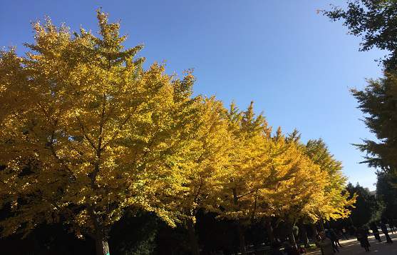 北京快遞<a href=/zcgs/ target=_blank class=infotextkey>公司注冊</a>費用查詢方法有哪些?