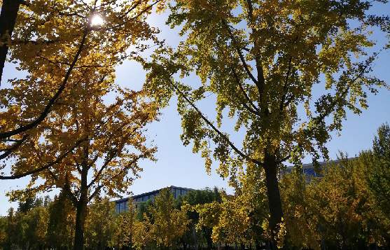 北京市小程序代理公司注冊(cè)流程是什么？